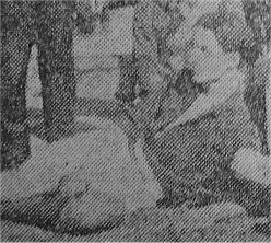 1909:  Jugó por última vez Alberto Mignaburu 